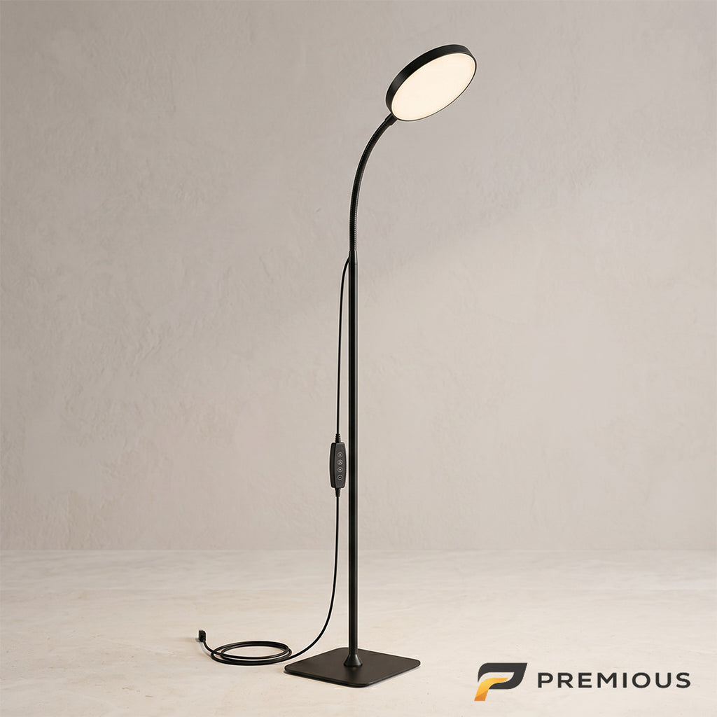 The Sentinel | Gooseneck LED Floor Lamp